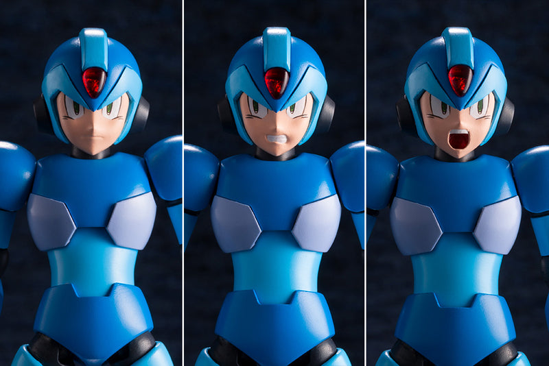 Mega Man X X